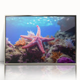 Framed acrylic wall art showcasing a vibrant marine life design featuring a starfish, elegantly presented in a silver frame, perfect for ocean-themed decor.