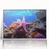Framed wall art featuring a vibrant marine life starfish design, showcasing intricate details and bright colors, perfect for coastal home decor.