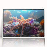 Framed wall art featuring a colorful marine life design with a starfish, set against a white background. Ideal for ocean-themed decor in homes or offices.