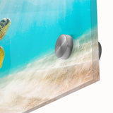 Close-up of a marine life wall art piece showcasing a vibrant turtle design on acrylic glass, highlighting intricate details and vivid colors, perfect for ocean-themed decor.