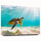 Acrylic wall art showcasing a vibrant marine life design featuring a turtle, presented in a side view without pins. Perfect for ocean-themed decor and nature lovers.