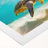 Vibrant rolled canvas wall art depicting a marine turtle design, showcasing intricate details and colors that highlight ocean life, perfect for coastal decor.