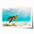 Vibrant marine life wall art featuring a detailed turtle illustration, showcasing colorful aquatic elements on high-quality rolled print, perfect for ocean-themed decor.