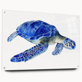 Colorful marine life wall art featuring a turtle design in acrylic glass, showcasing vibrant colors and intricate details, ideal for ocean-themed decor.