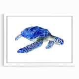 Framed wall art depicting a vibrant sea turtle design, showcasing intricate marine life details against a white mat background, ideal for ocean-themed decor.