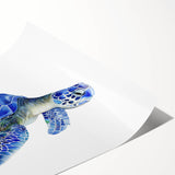 Colorful marine life wall art print featuring a detailed turtle design, rolled and ready for framing, showcasing vibrant ocean hues and intricate patterns. Perfect for nature enthusiasts and home decor lovers.