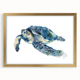 Framed wall art piece showcasing a marine life turtle design, featuring a gold frame and mat, perfect for ocean-themed decor and nature enthusiasts.