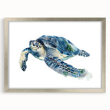 Framed wall art featuring a vibrant marine life turtle design in a silver frame with a mat, perfect for ocean-themed decor and nature enthusiasts.