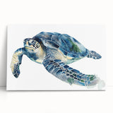 Stretched canvas wall art showcasing a vibrant marine life design featuring a turtle in an ocean setting, perfect for coastal decor enthusiasts.