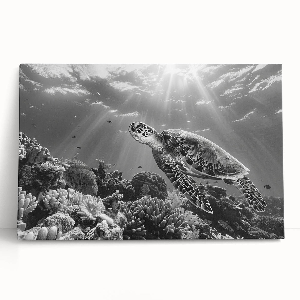 Colorful marine life wall art featuring a vibrant turtle design on stretched canvas, elegantly leaning against a wall, perfect for ocean-themed decor.