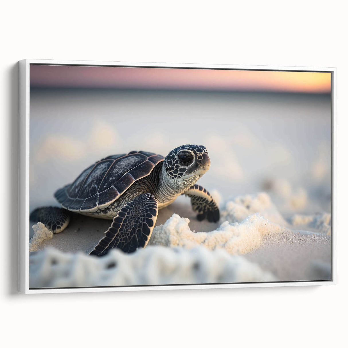 Framed canvas wall art featuring a vibrant marine turtle design, showcasing intricate details in shades of blue and green against a white background, perfect for ocean-themed decor.
