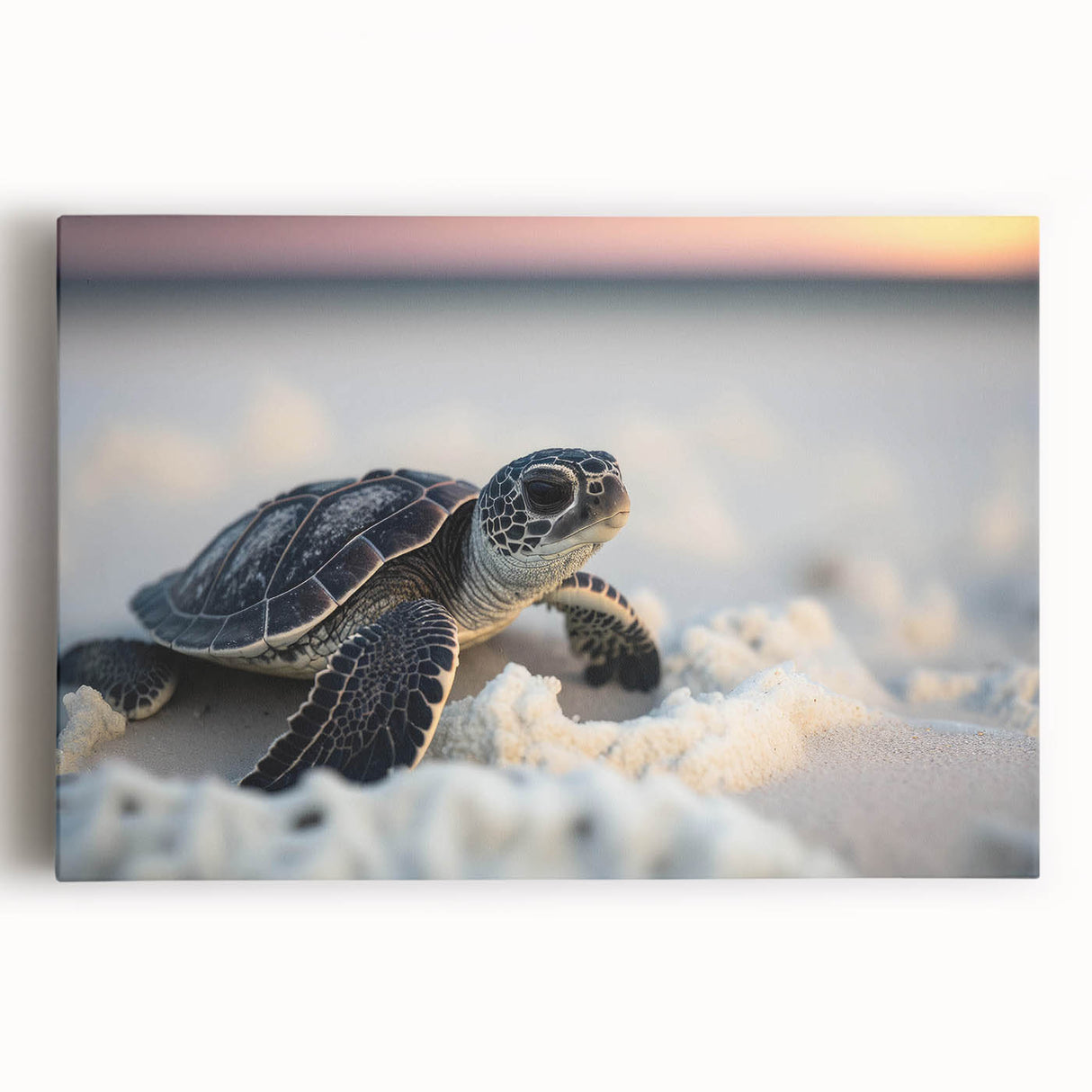 Colorful stretched canvas wall art depicting a vibrant marine life turtle design, showcasing intricate details and textures, perfect for ocean-themed decor.