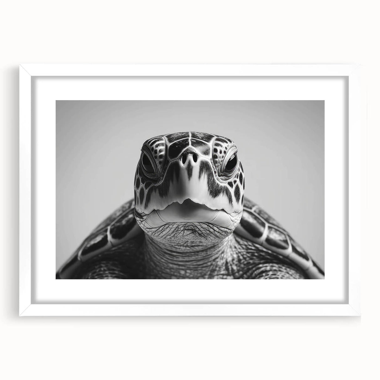 Framed wall art showcasing a vibrant marine life design featuring a turtle, set against a white mat and frame, ideal for ocean-themed decor.