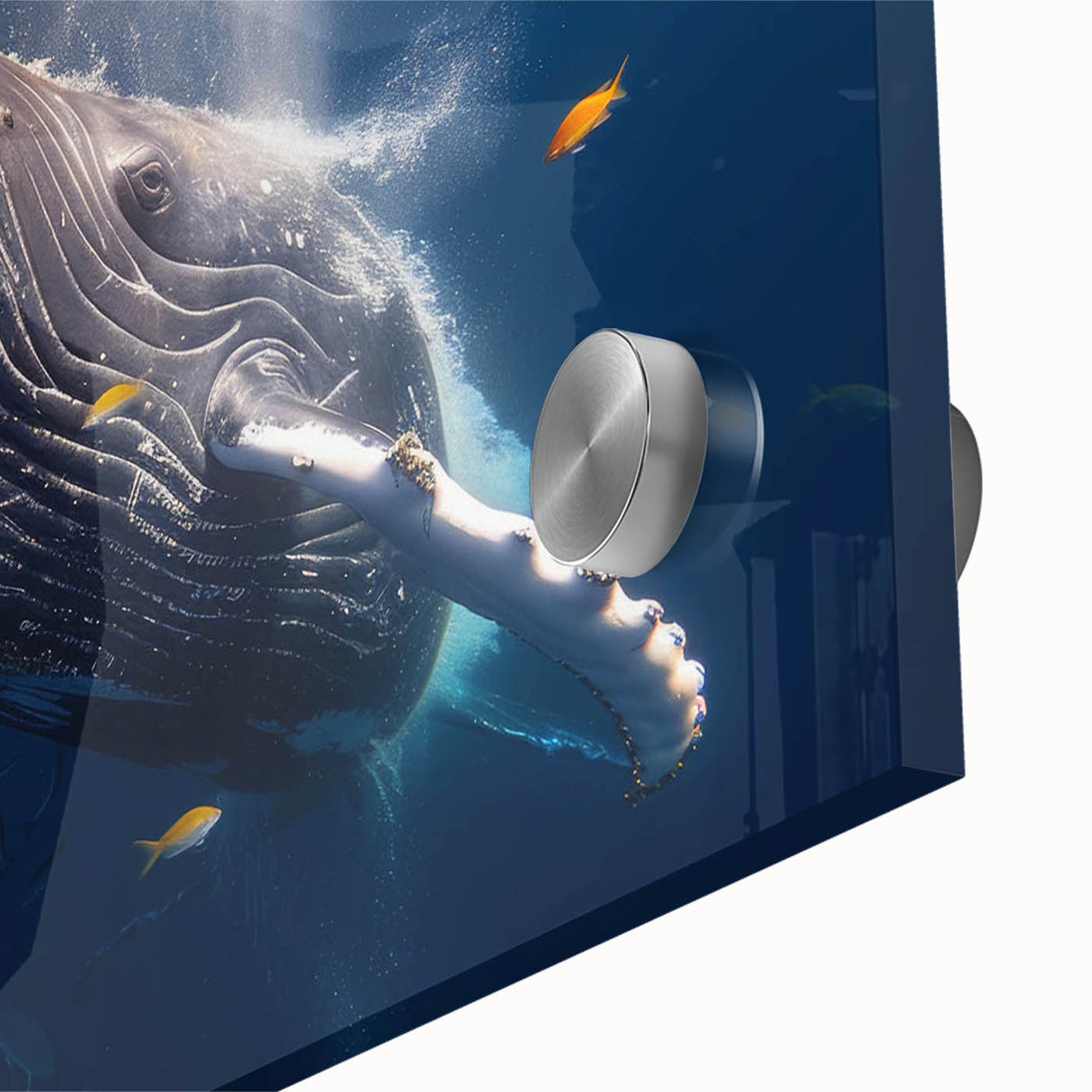 Close-up of a vibrant marine life wall art design showcasing a whale, printed on acrylic glass, featuring rich colors and intricate details perfect for home decor.