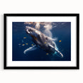 Whale-themed wall art framed in black, showcasing intricate marine life design with a mat. Ideal for ocean lovers, adding elegance to home decor.