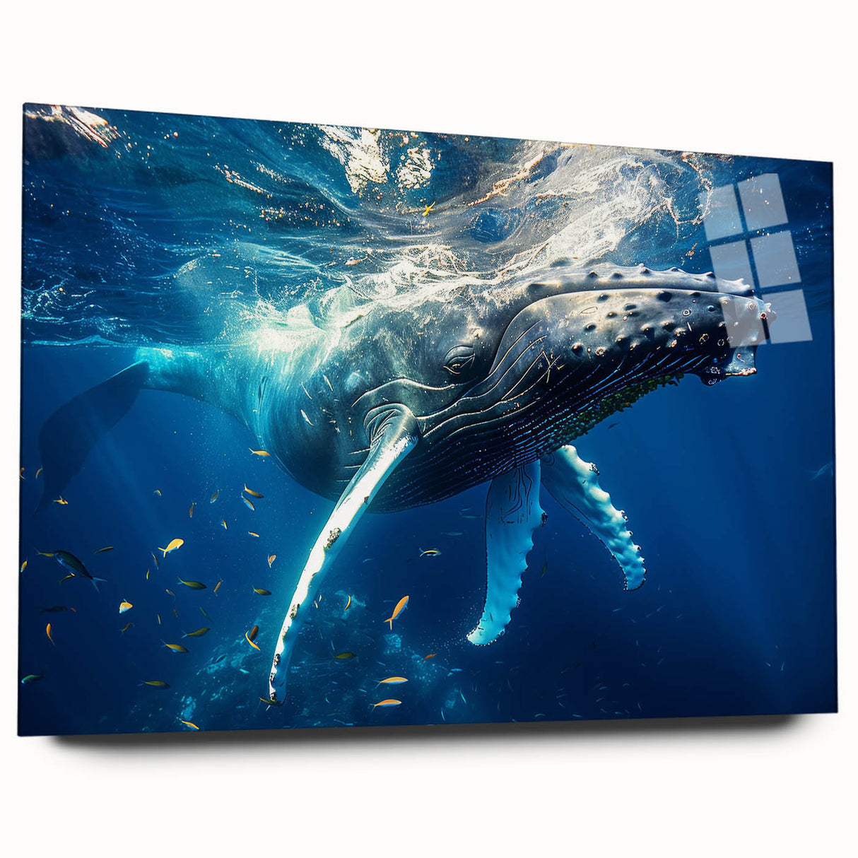 Side view of a marine life-themed wall art piece featuring a whale design on acrylic glass, showcasing vibrant colors and intricate details, perfect for ocean lovers.