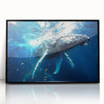 Framed acrylic wall art featuring a detailed whale design in a black frame, showcasing vibrant marine life colors against a sleek background, perfect for ocean-themed decor.