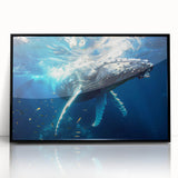 Framed acrylic wall art featuring a detailed whale design in a black frame, showcasing vibrant marine life colors against a sleek background, perfect for ocean-themed decor.
