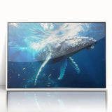 Framed wall art showcasing a stunning design of a whale in vibrant colors, ideal for marine life enthusiasts, displayed in a sleek white frame. Perfect for home décor or ocean-themed spaces.