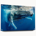 Acrylic glass wall art showcasing a detailed marine life design featuring a whale, displayed in a side view with decorative pins, perfect for ocean-themed decor.