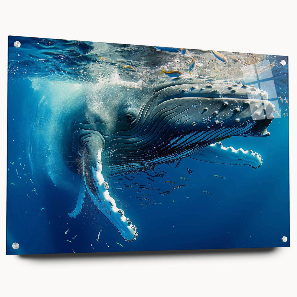 Acrylic glass wall art showcasing a detailed marine life design featuring a whale, displayed in a side view with decorative pins, perfect for ocean-themed decor.