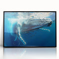 Framed wall art featuring a stunning marine life design of a whale, showcasing intricate details and vibrant colors, with a sleek black frame ideal for enhancing any ocean-themed decor.
