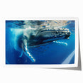 Whale design wall art print showcasing intricate marine life details, vibrant colors, and a matte finish, perfect for ocean-themed decor. Ideal for nature lovers and art enthusiasts.