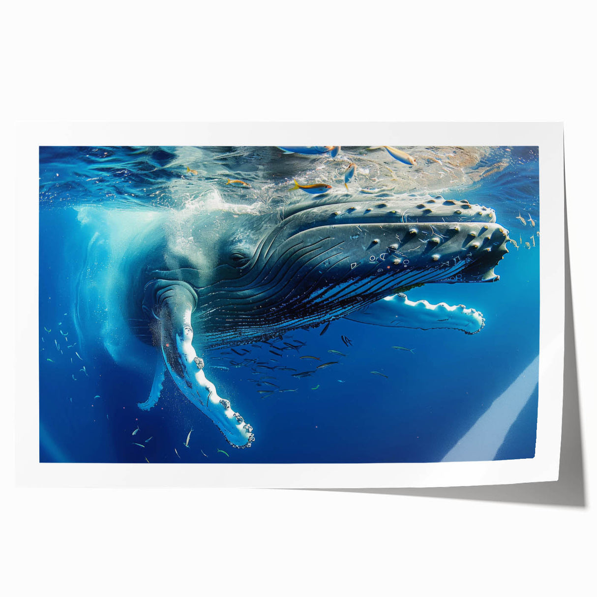 Whale design wall art print showcasing intricate marine life details, vibrant colors, and a matte finish, perfect for ocean-themed decor. Ideal for nature lovers and art enthusiasts.