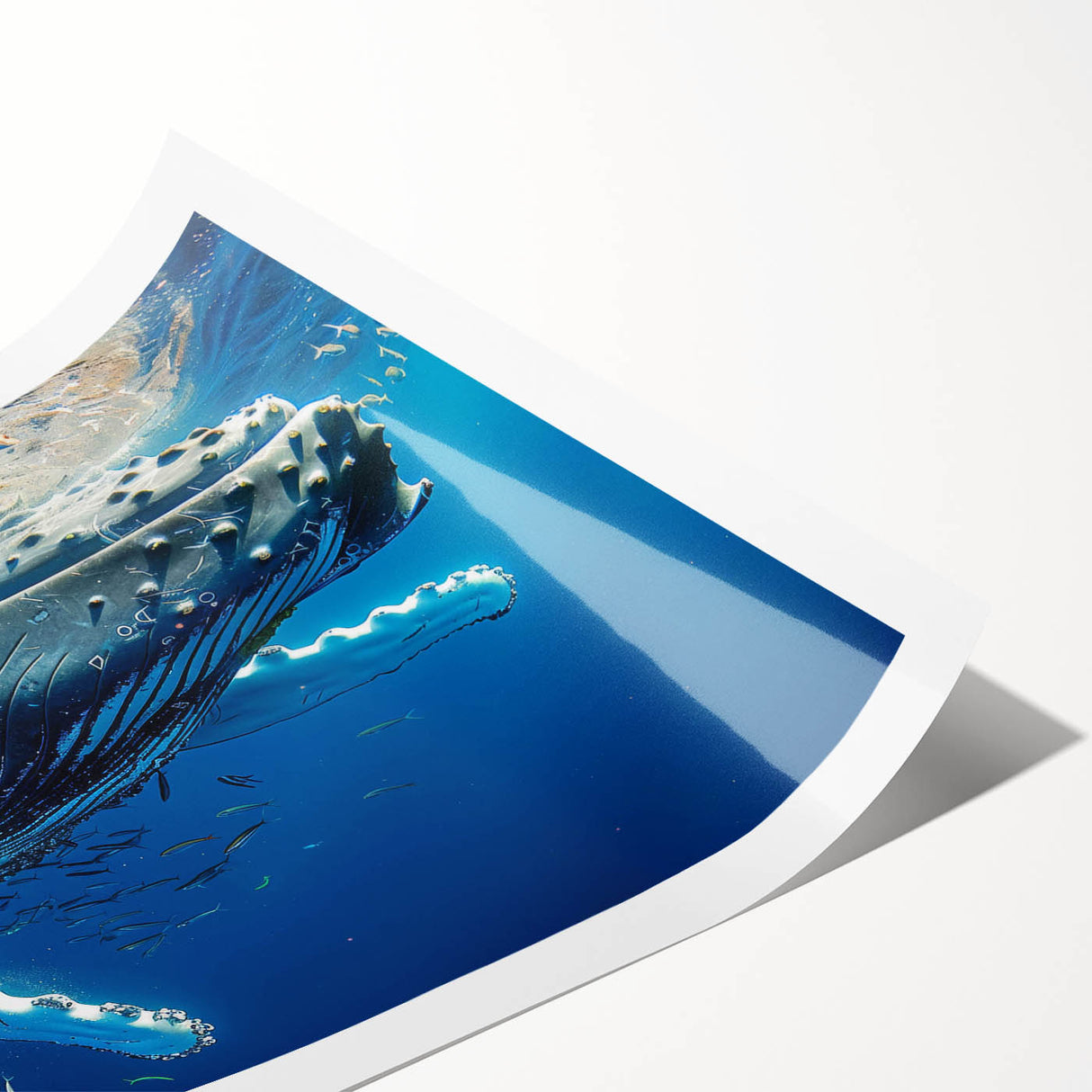 Colorful rolled print of marine life wall art featuring a majestic whale design, showcasing intricate details and vibrant hues, ideal for ocean-themed decor.