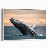 Framed canvas wall art featuring a serene marine life design showcasing a whale in shades of blue and white, ideal for ocean-themed decor.