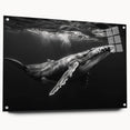 Acrylic wall art collection showcasing a vibrant marine life whale design in side view, featuring intricate details and color variations, mounted with pins for display.