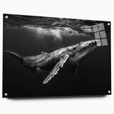 Acrylic wall art collection showcasing a vibrant marine life whale design in side view, featuring intricate details and color variations, mounted with pins for display.