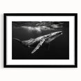 Black-framed wall art featuring a marine life design of a whale, showcasing intricate details and vibrant colors, perfect for ocean-themed decor.