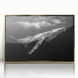 Framed acrylic wall art featuring a stunning marine life design showcasing a majestic whale, elegantly displayed with a gold frame, perfect for ocean-themed decor.