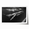 Vibrant marine life wall art featuring a majestic whale design, printed on high-quality canvas, showcasing intricate details and rich colors, perfect for ocean-themed decor.