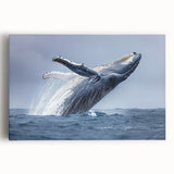 Stretched canvas wall art showcasing a vibrant marine life design featuring a majestic whale, perfect for ocean-themed decor in homes or offices.