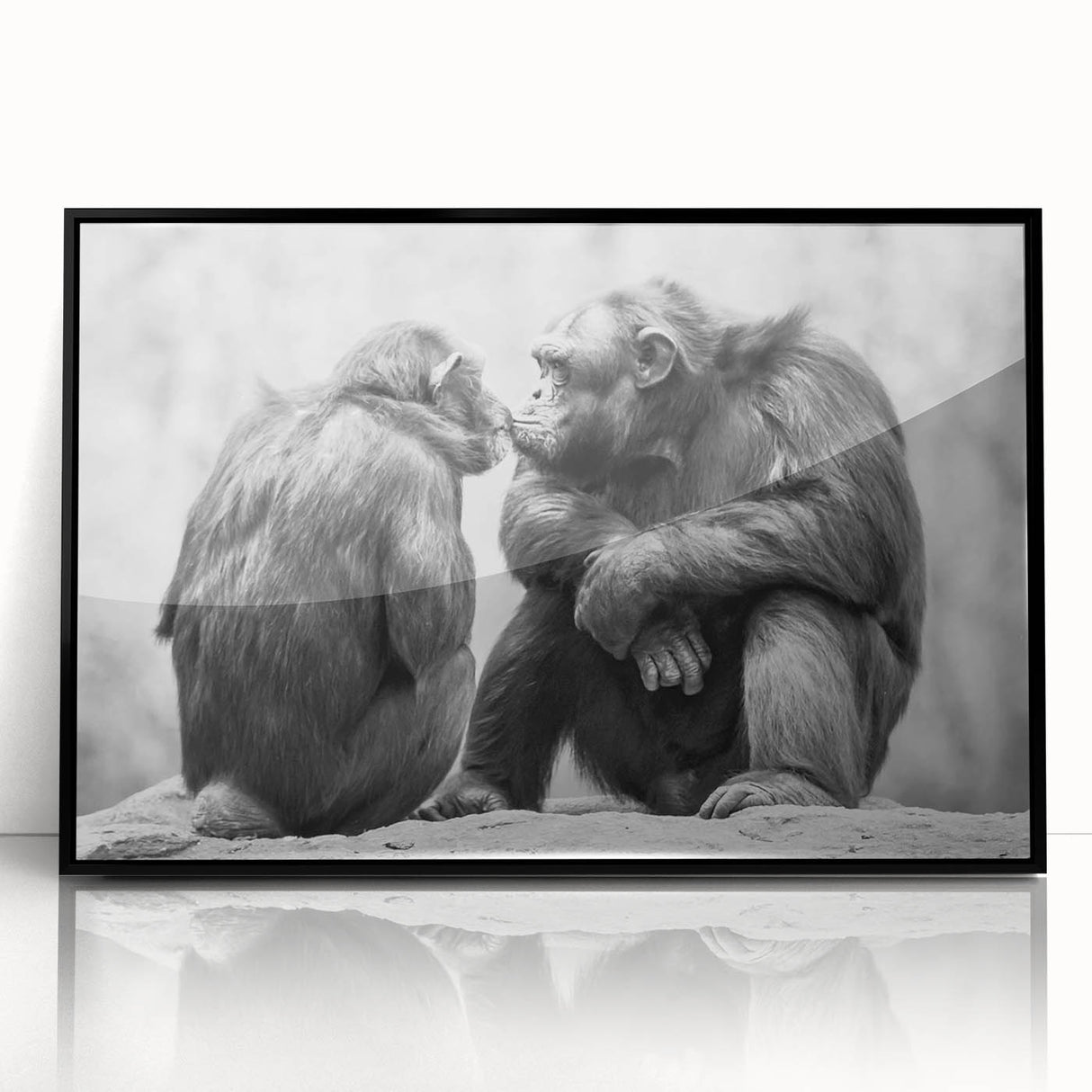 Framed wall art featuring a whimsical design of a monkey and chimpanzee, set against a sleek black frame, perfect for modern decor accents. Ideal for animal lovers and unique home styling.