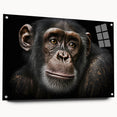 Charming wall art design showcasing a monkey and ape in a playful composition, printed on acrylic glass with a sleek side view, perfect for modern decor.
