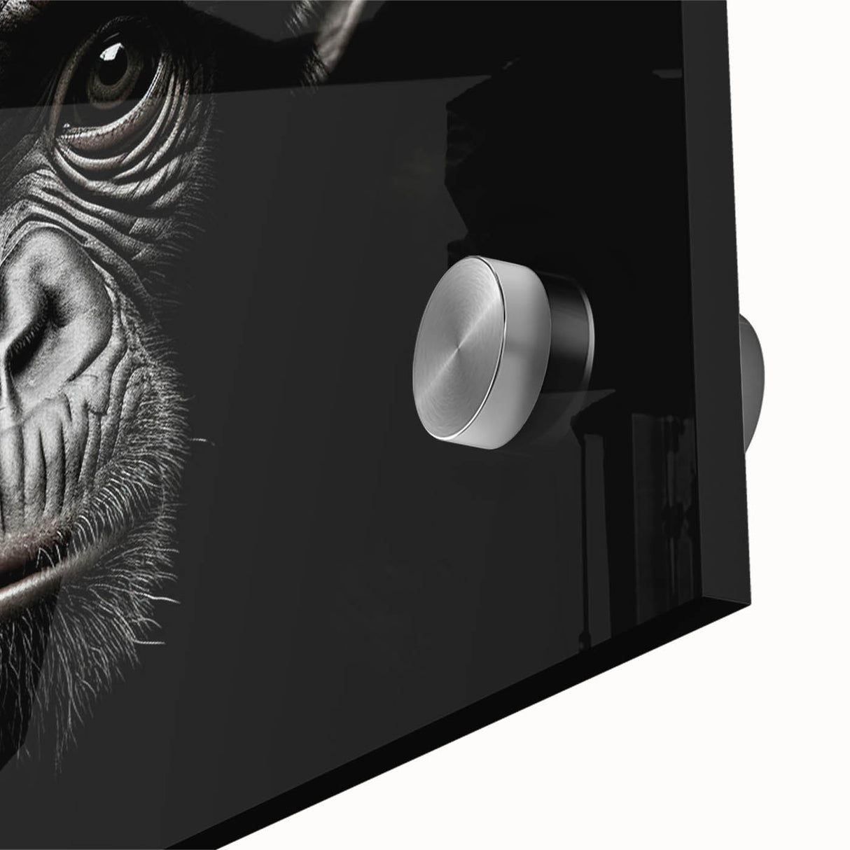 Close-up of a vibrant acrylic wall art piece showcasing a playful monkey and ape chimpanzee design, ideal for animal lovers and modern decor enthusiasts.