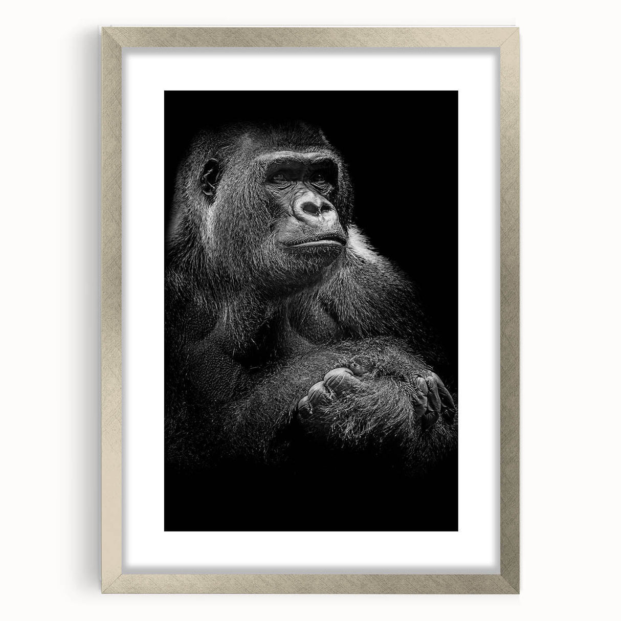 Framed wall art featuring a stylish silver mat showcasing a vibrant monkey and gorilla design, perfect for adding a pop of color to modern decor.