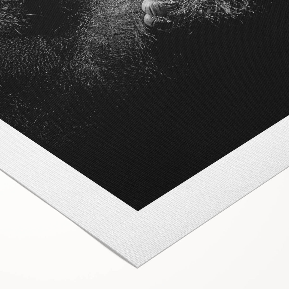 Rolled canvas artwork showcasing a vibrant monkey and ape gorilla design, perfect for adding a playful touch to home decor, packaged securely in a protective tube.