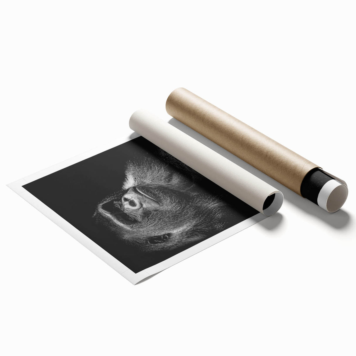 Colorful wall art print showcasing a vibrant monkey and ape gorilla design, perfect for animal lovers, displayed in a rolled format for easy framing.