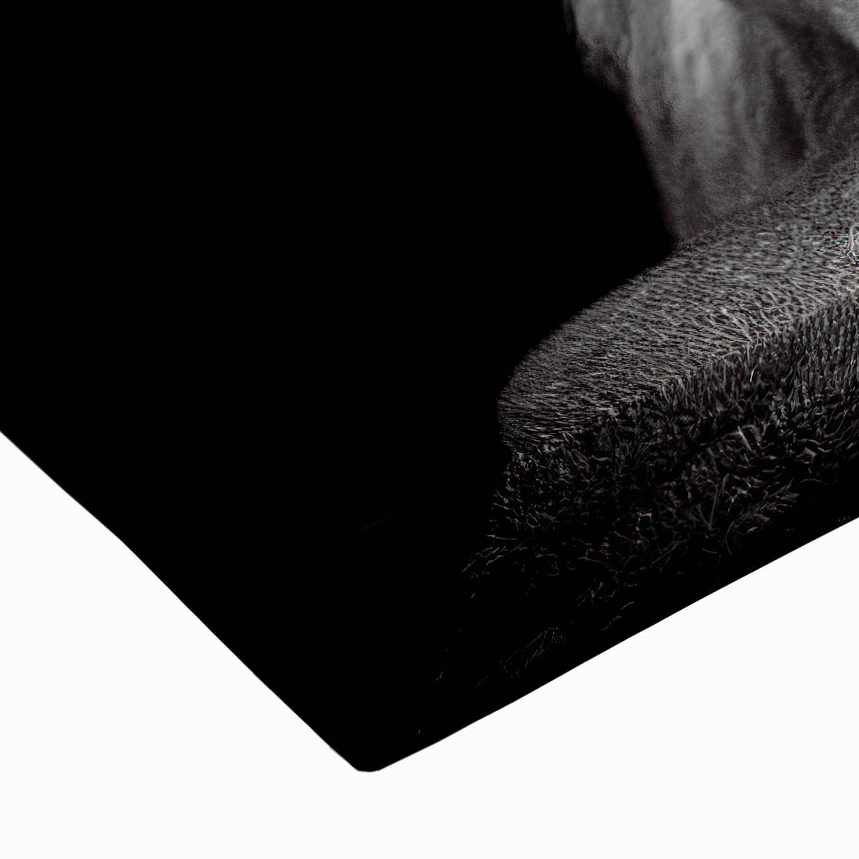 Close-up of a vibrant stretched canvas wall art featuring a playful monkey and a majestic gorilla design, showcasing intricate details and rich colors, perfect for animal lovers and home decor enthusiasts.