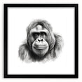 Framed wall art featuring a striking monkey and ape gorilla design on a black background, showcasing intricate details and vibrant colors, perfect for animal lovers.