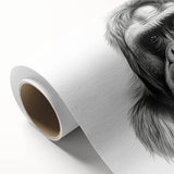 Gorilla and monkey-themed rolled canvas wall art collection, showcasing vibrant colors and intricate details, ideal for animal lovers and modern decor enthusiasts.