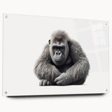 Acrylic wall art featuring a colorful monkey and ape gorilla design, displayed from the side with visible mounting pins, perfect for a vibrant home decor accent.