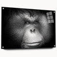 Side view of a vibrant orangutan and monkey wall art piece, crafted from acrylic glass, showcasing intricate design details and attached with stylish pins for easy display.