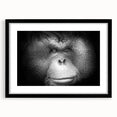 Black-framed wall art featuring a vibrant orangutan design, showcasing intricate details and colors, perfect for jungle-themed decor or wildlife enthusiasts.