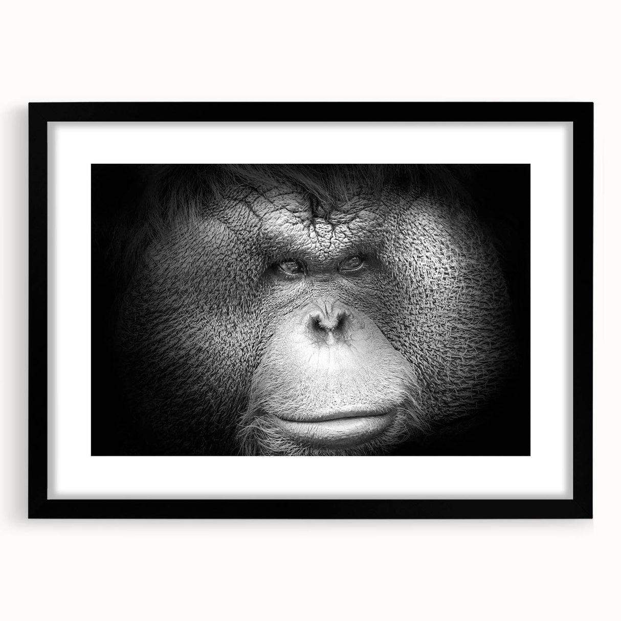 Black-framed wall art featuring a vibrant orangutan design, showcasing intricate details and colors, perfect for jungle-themed decor or wildlife enthusiasts.