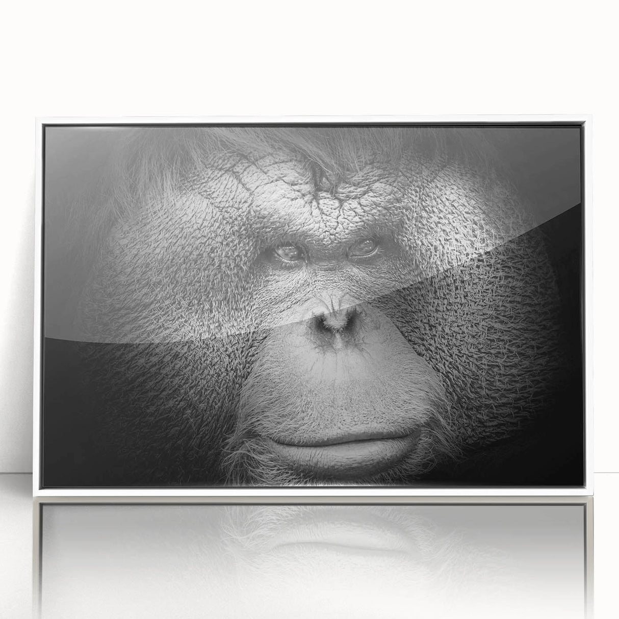 Framed acrylic wall art featuring a vibrant orangutan design with a white frame, ideal for animal lovers and contemporary decor. Perfect addition to any space.